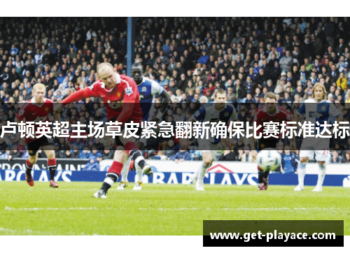 卢顿英超主场草皮紧急翻新确保比赛标准达标