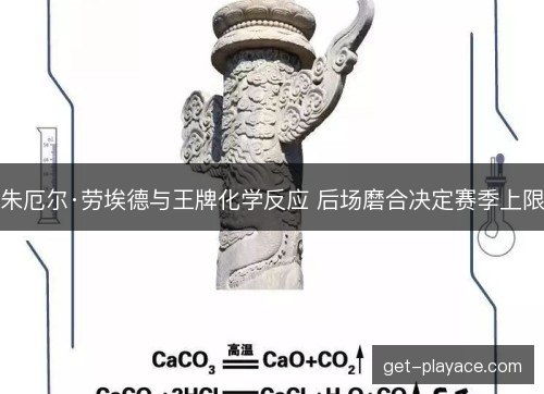朱厄尔·劳埃德与王牌化学反应 后场磨合决定赛季上限 朱厄尔·劳埃德与王牌化学反应 后场磨合决定赛季上限